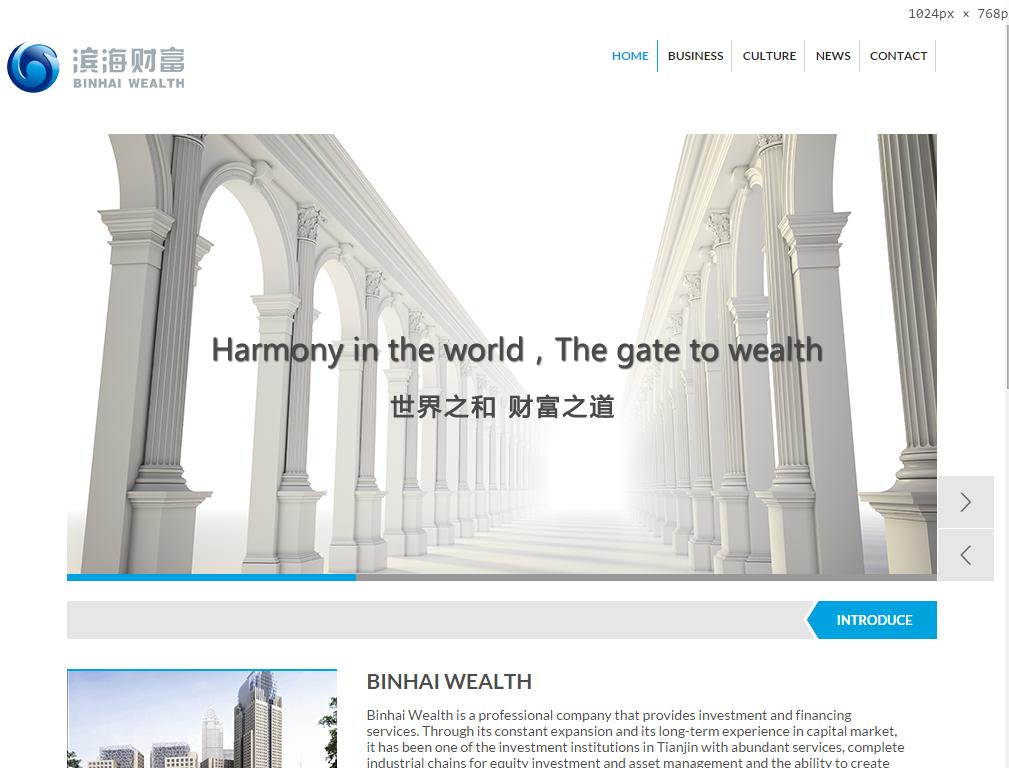 大气的国外金融公司网站模板html下载